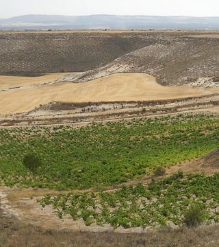Bodega Kirios De Adrada