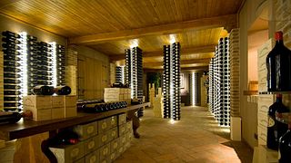Degustação de vinhos e tour na Vinícola Livia Fontana
