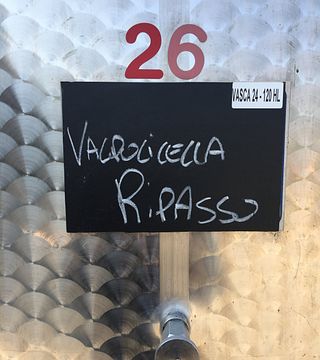 Vinprovningskultur på Fratelli Vogadori
