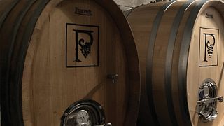 Víno Přistál - A Family Winery in Znojmo