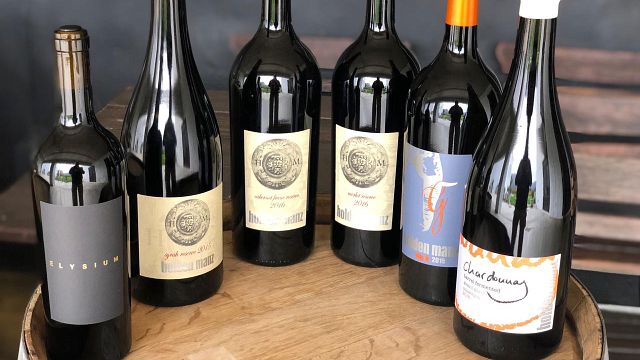 Degustazione di vini Platinum presso Holden Manz Wine Estate