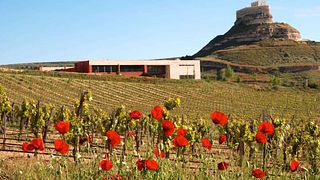 Degustazione di vini e visita alle Bodegas Comenge