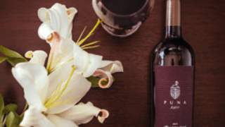 Degustazione di vini e tour alla Bodega Puna