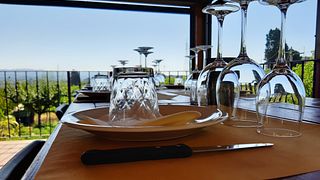 Degustação de vinhos e tour na Fattoria Di Montemorli