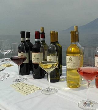 Bergamini Vini: A Legacy of Winemaking