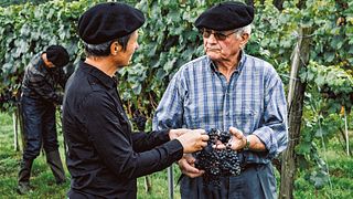 Visita ao vinhedo do monumento histórico e degustação de vinhos no Domaine Plaimont