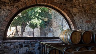 Comparando diferentes terroirs de Chianti Classico | Roca de Castagnoli