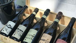 L'Antica Quercia Winery