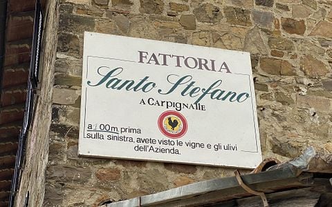 Tour do Vinho Bacco na Fattoria Santo Stefano