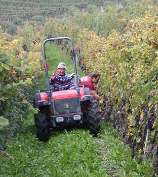 Vinprovning och rundtur på Broccardo