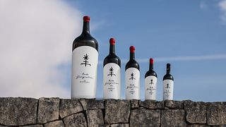  Visite du vignoble et dégustation de vins VIP à Tenute Girolamo dans la Vallée d'Itria
