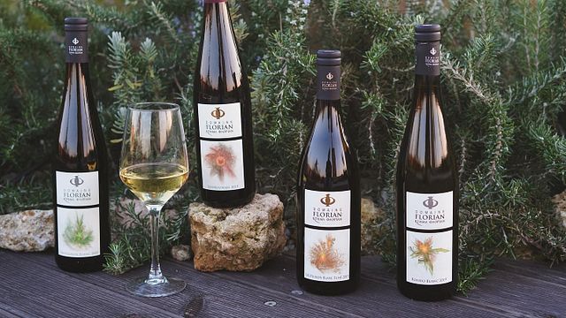Dégustation de 5 Vins et d'un Plateau de Charcuterie et Fromages au Domaine Florian