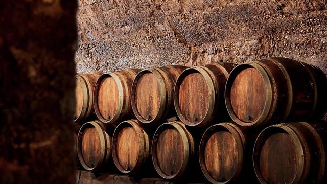Visita de descubrimiento a la bodega Caves St Martin