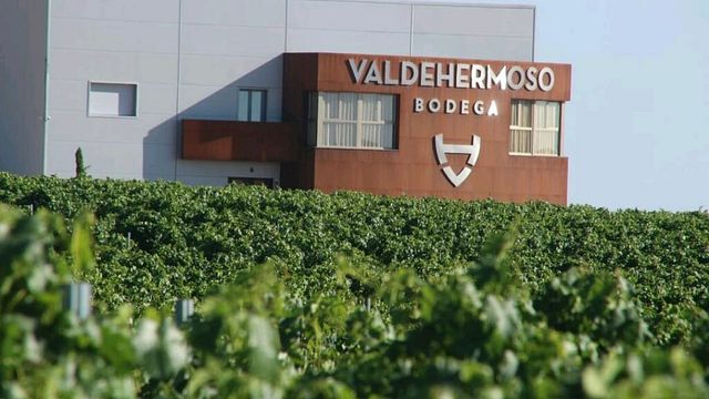 Dégustation de vins et visite de la Bodega Valdehermoso