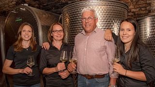 Cata de vinos con paseo por los viñedos y aperitivo en Weingut Andreas Schmid