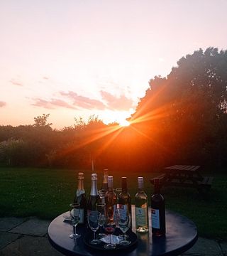 Degustazione di vini e tour presso Hanwell Wine Estate