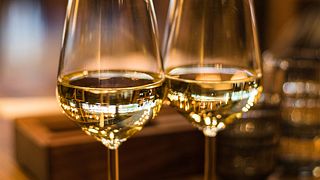 Vinturer i Tokaj vinregion 