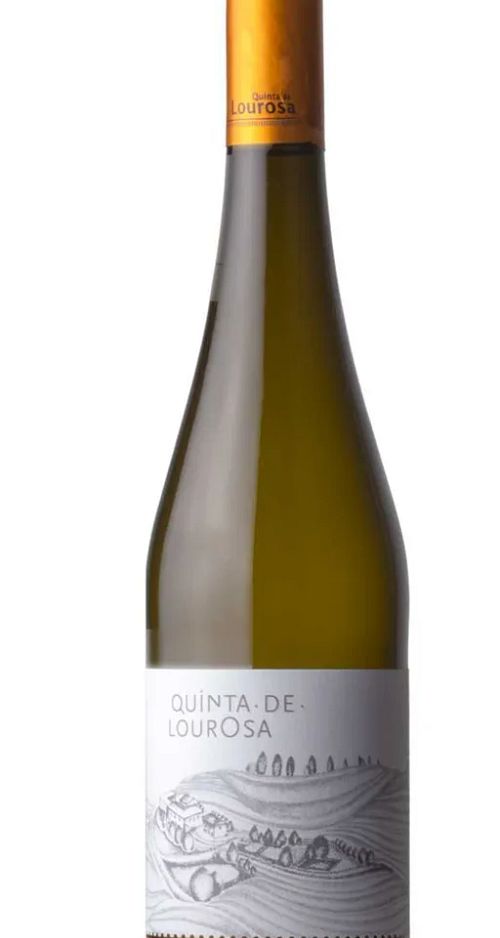 Garrafa Quinta De Lourosa