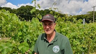 Vineyard tour and wine tasting experience