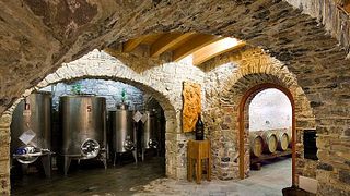 Leonardo Da Vinci Wine Tasting and Tour | Cantina Bignotti