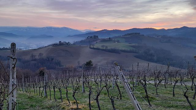 Degustazione di vini con prodotti tipici locali presso Tenuta Ca' Sciampagne Copy