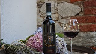 Cata de vinos y visita a la Cantina Fontechiara