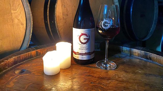 Pranzo e degustazione di vini a Weingut Gindorf