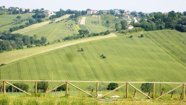 Expérience de dégustation de vin avec dîner à Tenuta San Marcello