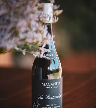 Maçanita Vinhos: A Hidden Gem in the Douro Valley