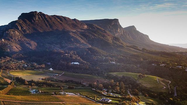 Coastal Region Wine & Barrel Tasting at High Constantia