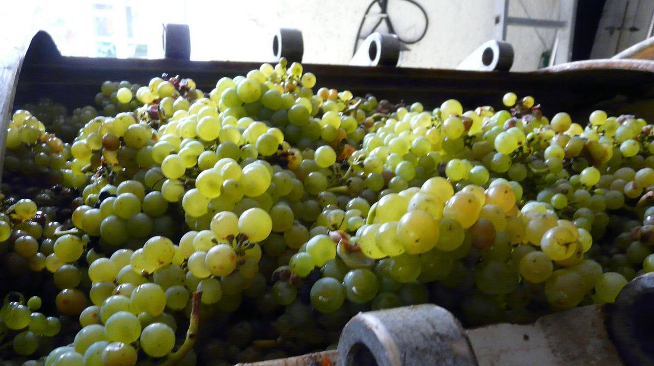 Gaec Topaze Winery