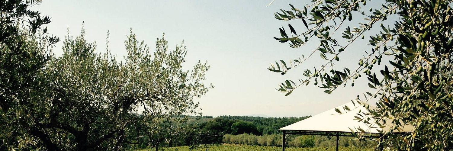 Azienda Agricola Villa Barberino Della Famiglia Nunzi Conti-Vineyard