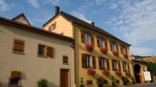Dégustation avec le Vigneron