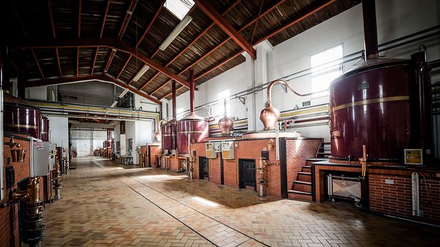 Cognac and Pineau des Charentes tasting and tour at Jules Gautret