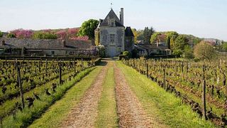 Weinprobe und Führung im Château de Chaintres