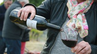 Weinprobe und Tour im Chateau La Rose Monturon