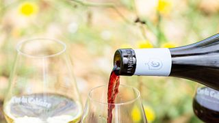 Degustazione al Clos du Calvaire