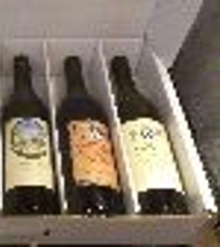 Vinprovningsupplevelse på Domaine Bertholet