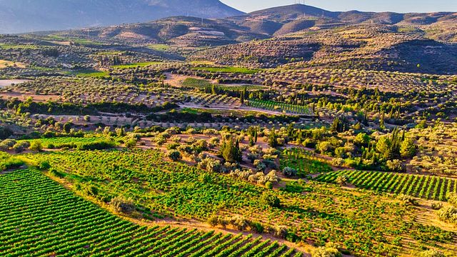 Papantonis Winery