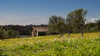 Wine Tasting and Tour at Château La Font Des Ormes