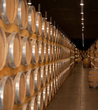 Tinto Fino Pairing Experience 