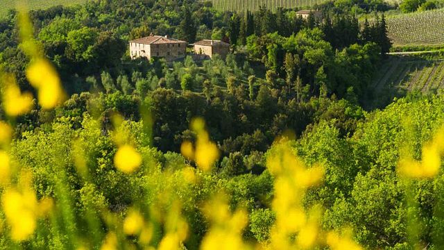 Degustazione di vini e visita a Piemaggio