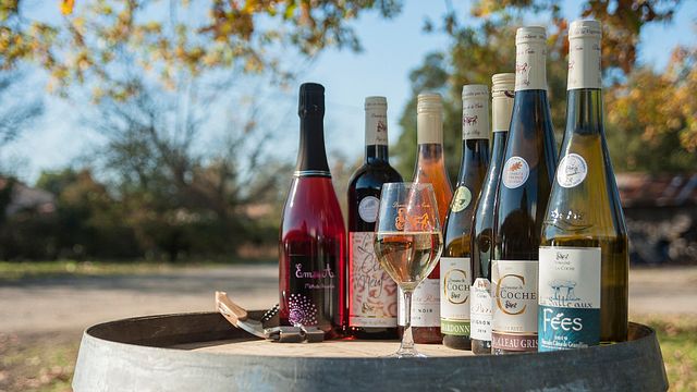 Cata de vinos y visita al Domaine de la Coche