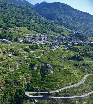Casa Vinicola Pietro Nera: A Family Tradition in Winemaking