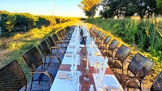 KAPPA WINERY