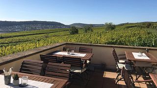 Wine Tasting and Tour at Weingut Adolf Störzel