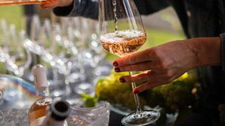 Degustazione di vini e tour presso l'azienda vinicola Velvety Wines