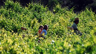 Castilla y León: Organic Wine Tour & Tasting at Comenge
