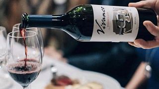 Tour del Museo (non guidato) + Tour della cantina a Vivanco