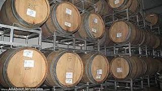 Vinprovning och rundtur på Gush Etzion Winery